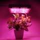 240 LEDs Plant Grow Light Veg Bloom Lamp Indoor Greenhouse Garden Full Spectrum Plant Growth Light