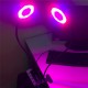 24W Daul Head LED Plant Grow Light Flexible Desk Clip Lamp for Vegetables Fruits Flowers Hydroponics