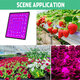 256 LED Grow Light Growing Lamp Full Spectrum For Indoor Flower Plant Hydroponic