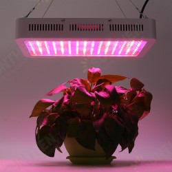 280W 150 LED Beads Full Spectrum Plant Lamp Growth Nursery Light AC85-265V 280W 150 LED Beads Full Spectrum Plant Lamp Growth Nursery Light AC85-265V