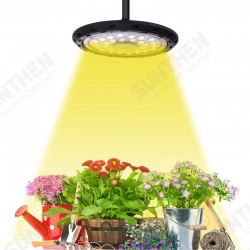 300W LED Grow Light Full Spectrum Hydroponics Greenhouse Grow Lamp Plant Bulb 300W LED Grow Light Full Spectrum Hydroponics Greenhouse Grow Lamp Plant Bulb