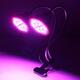 30W Flexible Clip-on Hydroponics Plant LED Dual Grow Light Full Spectrum Flower Lamp