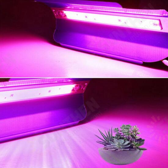 30W/50W/80W Full Spetrum LED Floodlight Waterproof COB LED Grow Light DIY Led Chip AC110V/220V