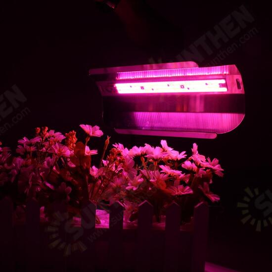 30W/50W/80W Full Spetrum LED Floodlight Waterproof COB LED Grow Light DIY Led Chip AC110V/220V