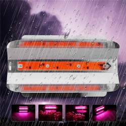 30W/50W/80W Full Spetrum LED Floodlight Waterproof COB LED Grow Light DIY Led Chip AC110V/220V 30W/50W/80W Full Spetrum LED Floodlight Waterproof COB LED Grow Light DIY Led Chip AC110V/220V