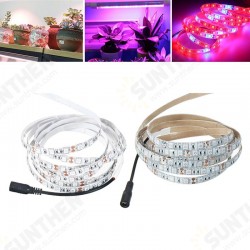 3M SMD5050 Red:Blue 5:1 Full Spectrum LED Grow Strip Hydroponic Plant Light Kit+Power Adapter DC12V 3M SMD5050 Red:Blue 5:1 Full Spectrum LED Grow Strip Hydroponic Plant Light Kit+Power Adapter DC12V