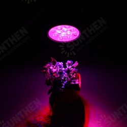3W 7W 12W LED Plant Lights Grow Lamp Flood Supplementary Light 3W 7W 12W LED Plant Lights Grow Lamp Flood Supplementary Light