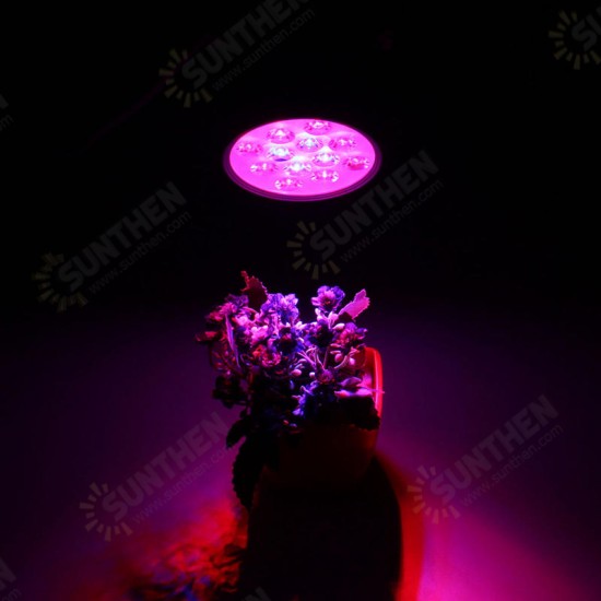 3W 7W 12W LED Plant Lights Grow Lamp Flood Supplementary Light