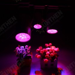 3W 7W 12W LED Plant Lights Grow Lamp Flood Supplementary Light 3W 7W 12W LED Plant Lights Grow Lamp Flood Supplementary Light