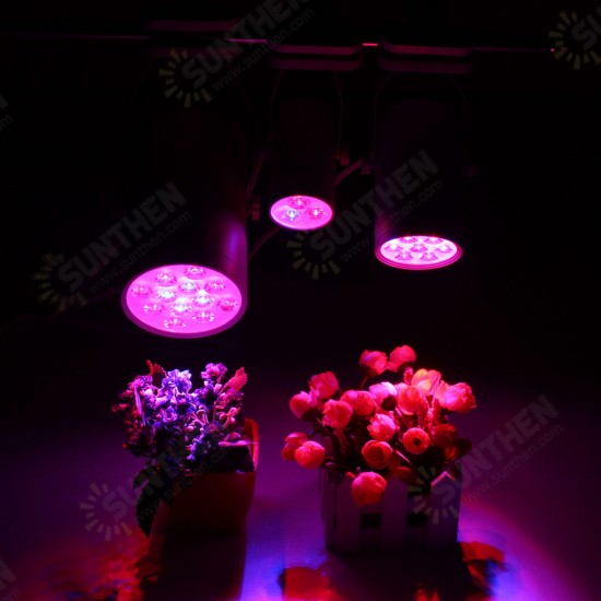 3W 7W 12W LED Plant Lights Grow Lamp Flood Supplementary Light