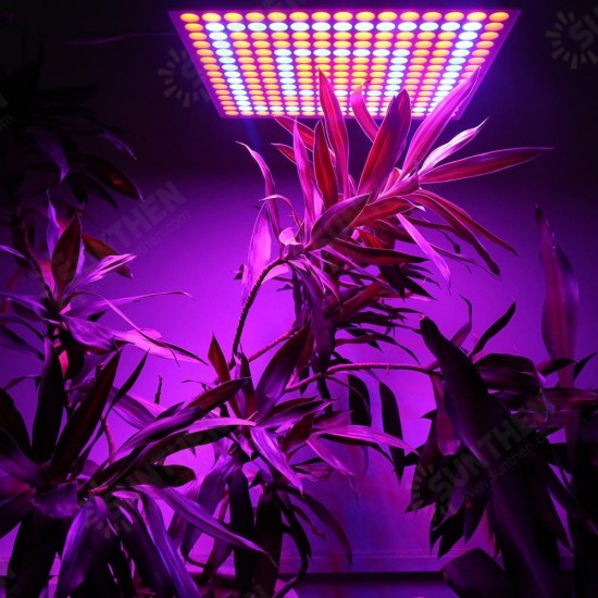 45W 200W Reflector Cup Full Spectrum Led Grow Lights For Grow Tent Box Indoor Greenhouse