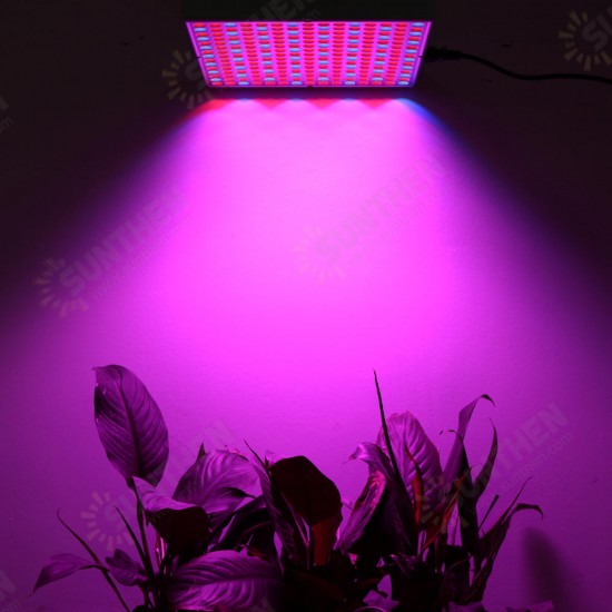 45W 200W Reflector Cup Full Spectrum Led Grow Lights For Grow Tent Box Indoor Greenhouse