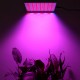 45W 200W Reflector Cup Full Spectrum Led Grow Lights For Grow Tent Box Indoor Greenhouse