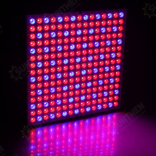 45W 200W Reflector Cup Full Spectrum Led Grow Lights For Grow Tent Box Indoor Greenhouse