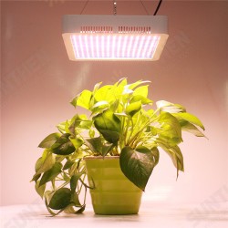 50W 85-260V 240LED Plant Grow Lamp Sunlight Full Spectrum Dual Switch Hydroponic Growth Lamp 50W 85-260V 240LED Plant Grow Lamp Sunlight Full Spectrum Dual Switch Hydroponic Growth Lamp