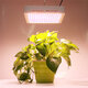 50W 85-260V 240LED Plant Grow Lamp Sunlight Full Spectrum Dual Switch Hydroponic Growth Lamp