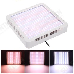 50W 85-260V 240LED Plant Grow Lamp Sunlight Full Spectrum Dual Switch Hydroponic Growth Lamp 50W 85-260V 240LED Plant Grow Lamp Sunlight Full Spectrum Dual Switch Hydroponic Growth Lamp