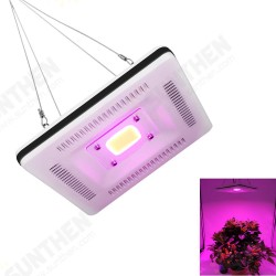 50W COB LED Square Full Spectrum Grow Light Waterproof IP64 Flood Lamp Plant Flower Indoor Hydroponic Greenhouse 50W COB LED Square Full Spectrum Grow Light Waterproof IP64 Flood Lamp Plant Flower Indoor Hydroponic Greenhouse