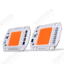 50W Full Spectrum LED COB Chip Plant Grow Light AC220/110V 50W Full Spectrum LED COB Chip Plant Grow Light AC220/110V