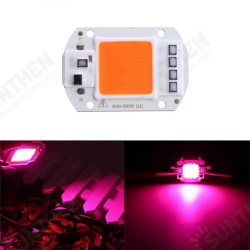 50W Full Spectrum LED COB Chip Plant Grow Light AC220/110V 50W Full Spectrum LED COB Chip Plant Grow Light AC220/110V