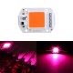 50W Full Spectrum LED COB Chip Plant Grow Light AC220/110V