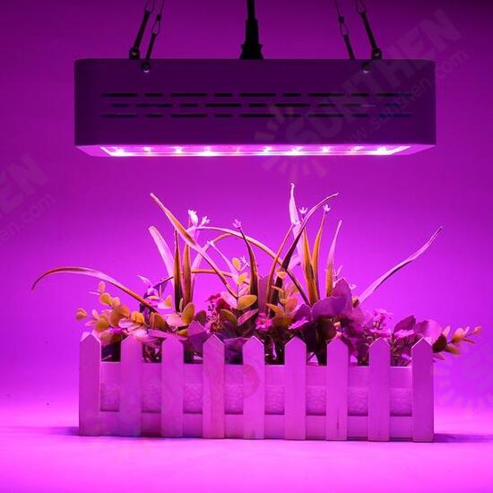 50W Full Spectrum LED Grow Light Hydroponic Indoor Veg Bloom Plant Lamp