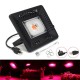 50W Waterproof Full Spectrum LED Grow Light Single Head Hangable COB Plant Lamp 110/220V 50W Waterproof Full Spectrum LED Grow Light Single Head Hangable COB Plant Lamp 110/220V