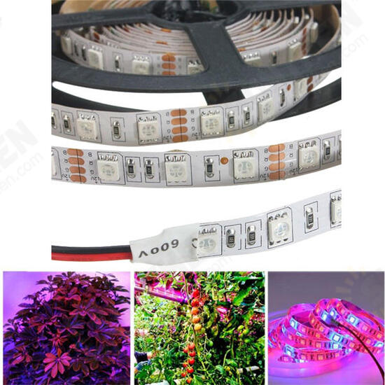 5M 3:1/4:1/5:1 Red:Blue 5050SMD 300LED Non-waterproof Hydroponic Plant Grow Strip Light DC12V