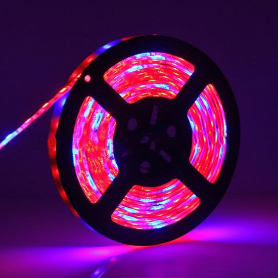 5M 3:1/4:1/5:1 Red:Blue 5050SMD 300LED Non-waterproof Hydroponic Plant Grow Strip Light DC12V