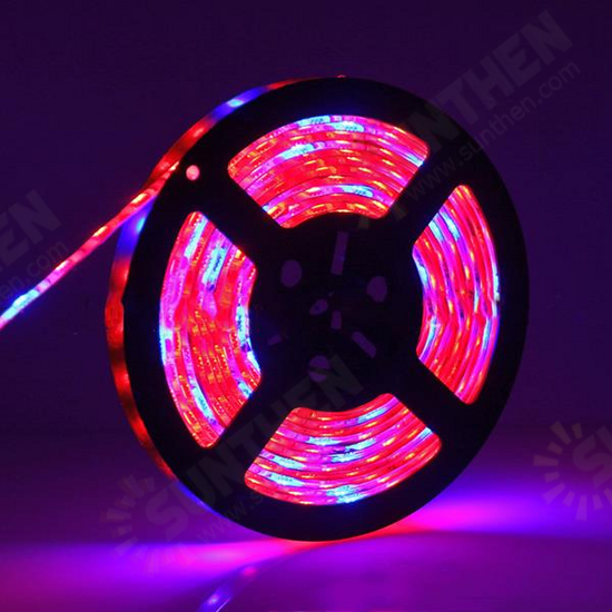 5M 3:1/4:1/5:1 Red:Blue 5050SMD 300LED Non-waterproof Hydroponic Plant Grow Strip Light DC12V