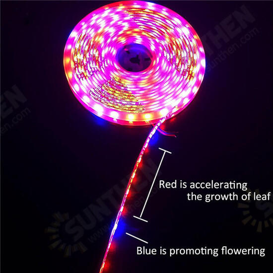 5M 3:1/4:1/5:1 Red:Blue 5050SMD 300LED Non-waterproof Hydroponic Plant Grow Strip Light DC12V