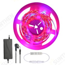 5M SMD5050 Waterproof Full Spectrum LED Plant Grow Strip Light for Greenhouse Aquarium DC12V 5M SMD5050 Waterproof Full Spectrum LED Plant Grow Strip Light for Greenhouse Aquarium DC12V