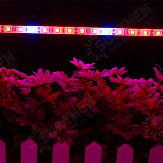 5PCS 50CM 5050 Waterproof LED Grow Light Strip Lamp+ Power Adpater for Veg Flower Plant DC12V