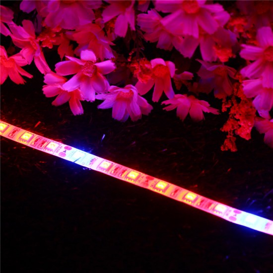 5PCS 50CM 5050 Waterproof LED Grow Light Strip Lamp+ Power Adpater for Veg Flower Plant DC12V