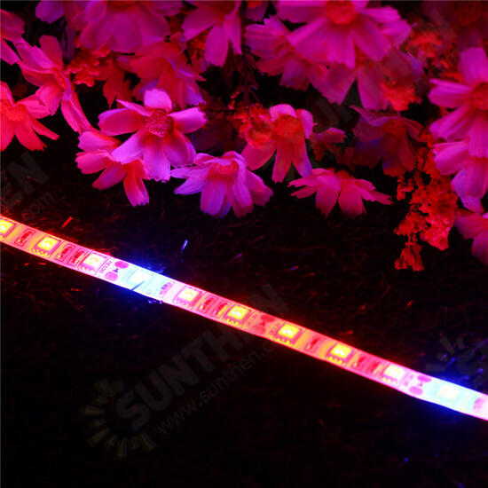 5PCS 50CM 5050 Waterproof LED Grow Light Strip Lamp+ Power Adpater for Veg Flower Plant DC12V