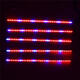 5PCS 50CM 5050 Waterproof LED Grow Light Strip Lamp+ Power Adpater for Veg Flower Plant DC12V