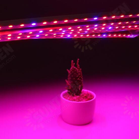 5PCS 50CM SMD5050 Non-waterproof 5:1 LED Strip Light + 5A Power Adapter for Grow Plant Garden DC12V