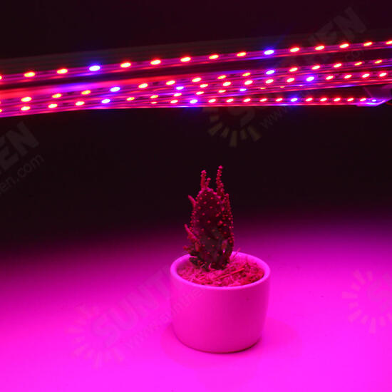 5PCS 50CM SMD5050 Red:Blue 5:1 Grow Plant LED Strip Light with Connector for Greenhouse DC12V