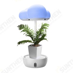 5V Cloud Shape LED Grow Light for Plants Growth Lighting Simulate Different Weather Conditions Grow Light For Indoor Plant 5V Cloud Shape LED Grow Light for Plants Growth Lighting Simulate Different Weather Conditions Grow Light For Indoor Plant