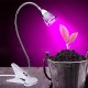 5W 220V Desktop Clip Flexible Neck 5 LED Plant Grow Light for Home Office Garden Greenhouse 5W 220V Desktop Clip Flexible Neck 5 LED Plant Grow Light for Home Office Garden Greenhouse