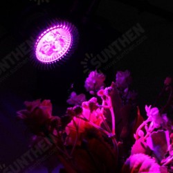 6W E27 Red + Blue LED Plant Grow Light Lamp Flower Hydroponic Globe Bulb 85-265V 6W E27 Red + Blue LED Plant Grow Light Lamp Flower Hydroponic Globe Bulb 85-265V
