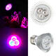 6W E27 Red + Blue LED Plant Grow Light Lamp Flower Hydroponic Globe Bulb 85-265V