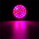 70W UFO LED Full Spectrum Grow Light Lamp for Plants Hydroponic Indoor Flower