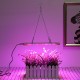 75LED Full Spectrum Plant UV Grow Light Veg Lamp For Indoor Hydroponic Plant