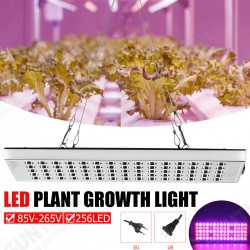 800W LED Grow Light Full Spectrum Growing Plant Lamp For Hydroponics Veg Indoor 800W LED Grow Light Full Spectrum Growing Plant Lamp For Hydroponics Veg Indoor