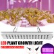800W LED Grow Light Full Spectrum Growing Plant Lamp For Hydroponics Veg Indoor
