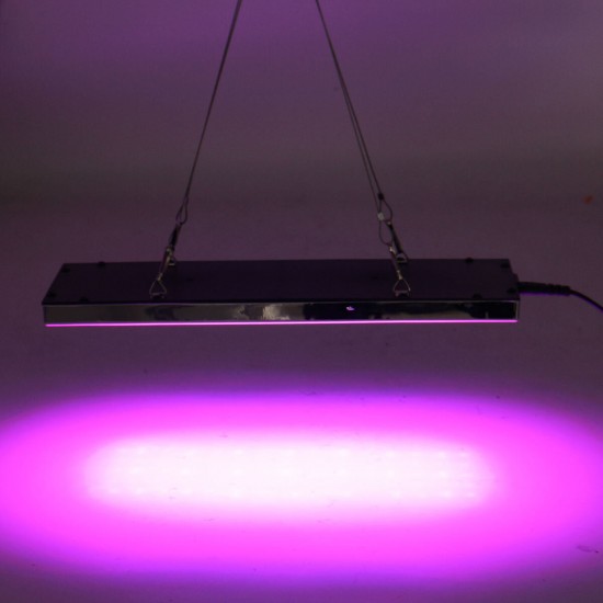 800W LED Grow Light Full Spectrum Growing Plant Lamp For Hydroponics Veg Indoor