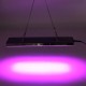 800W LED Grow Light Full Spectrum Growing Plant Lamp For Hydroponics Veg Indoor