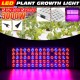 800W LED Grow Light Full Spectrum Growing Plant Lamp For Hydroponics Veg Indoor