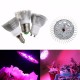 8W Flower Plant Hydroponic Full Spectrum Grow Light LED Bulb Grow Lamp Bulb